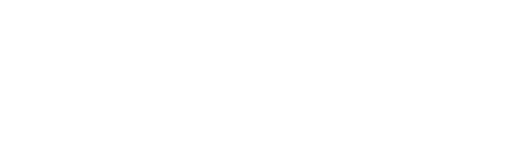 Casa Rio logo