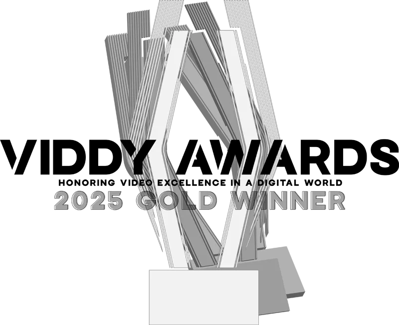 Viddy Awards