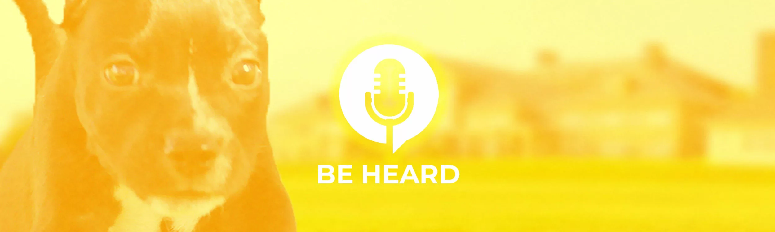 Episode 8: The Challenges San Antonio Pet Rescues Face Daily